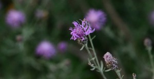 2015-06-23 20.36.04 (2)