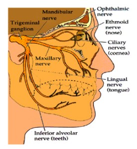 trigeminal_neuralgia medicalook dot com